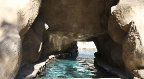 Swimming Pool with Grotto and Swim Cave